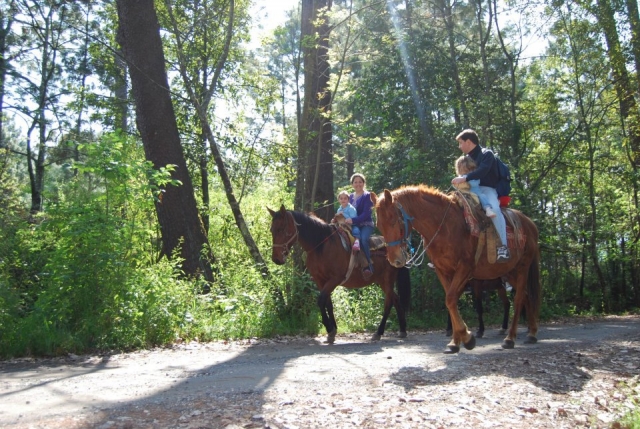 Paseos familiaternera a caballo